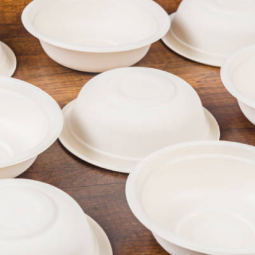 Disposable Tableware